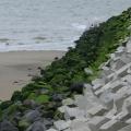 MER kustversterking en jachthaven Cadzand Bad